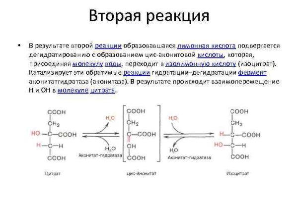 Почему в кракене пользователь не найден