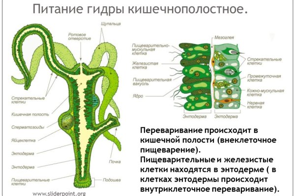 Актуальный домен кракена