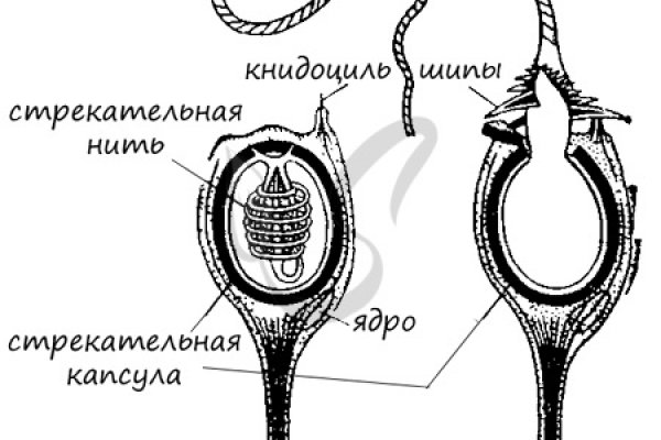 Кракен онион рабочая ссылка