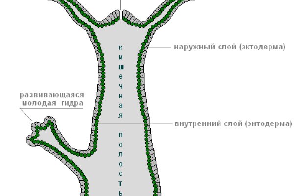 Кракен даркнет только через тор